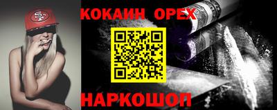 гидра Кандалакша