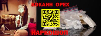 гидра Кандалакша
