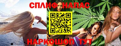 гидра Кандалакша