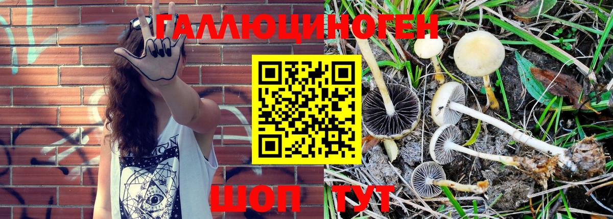 Псилоцибиновые грибы MAGIC MUSHROOMS Карпинск