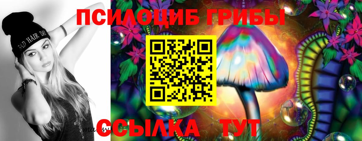 Псилоцибиновые грибы MAGIC MUSHROOMS  наркота  Карпинск  Вход с VPN 